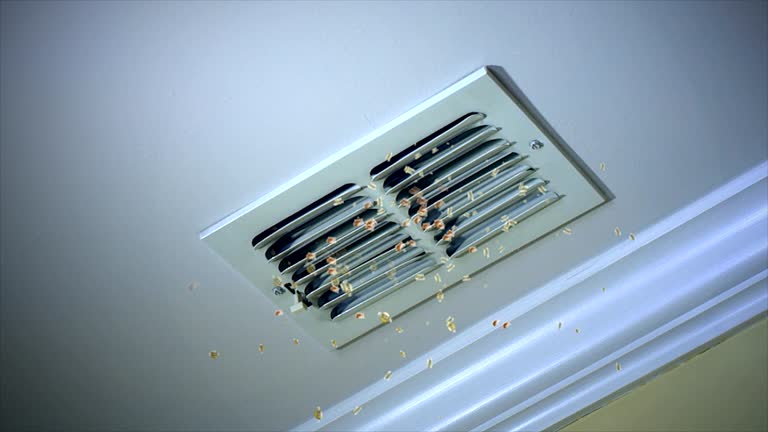 Best HVAC Duct Inspection Services  in Wilsonville, AL