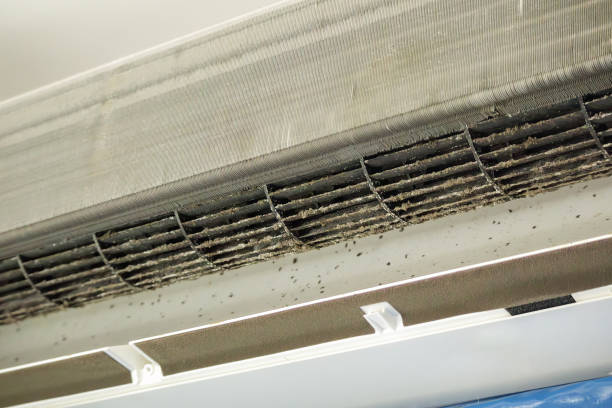 Best Best Air Duct Cleaning Near Me  in Wilsonville, AL
